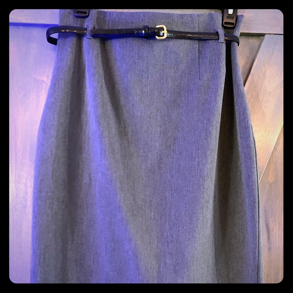 Express Pencil Skirt